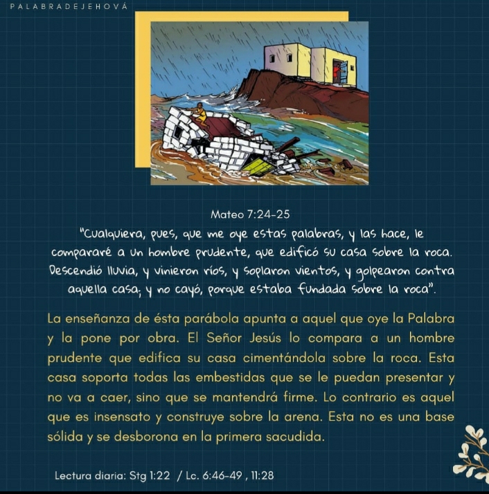 nayicabla2020